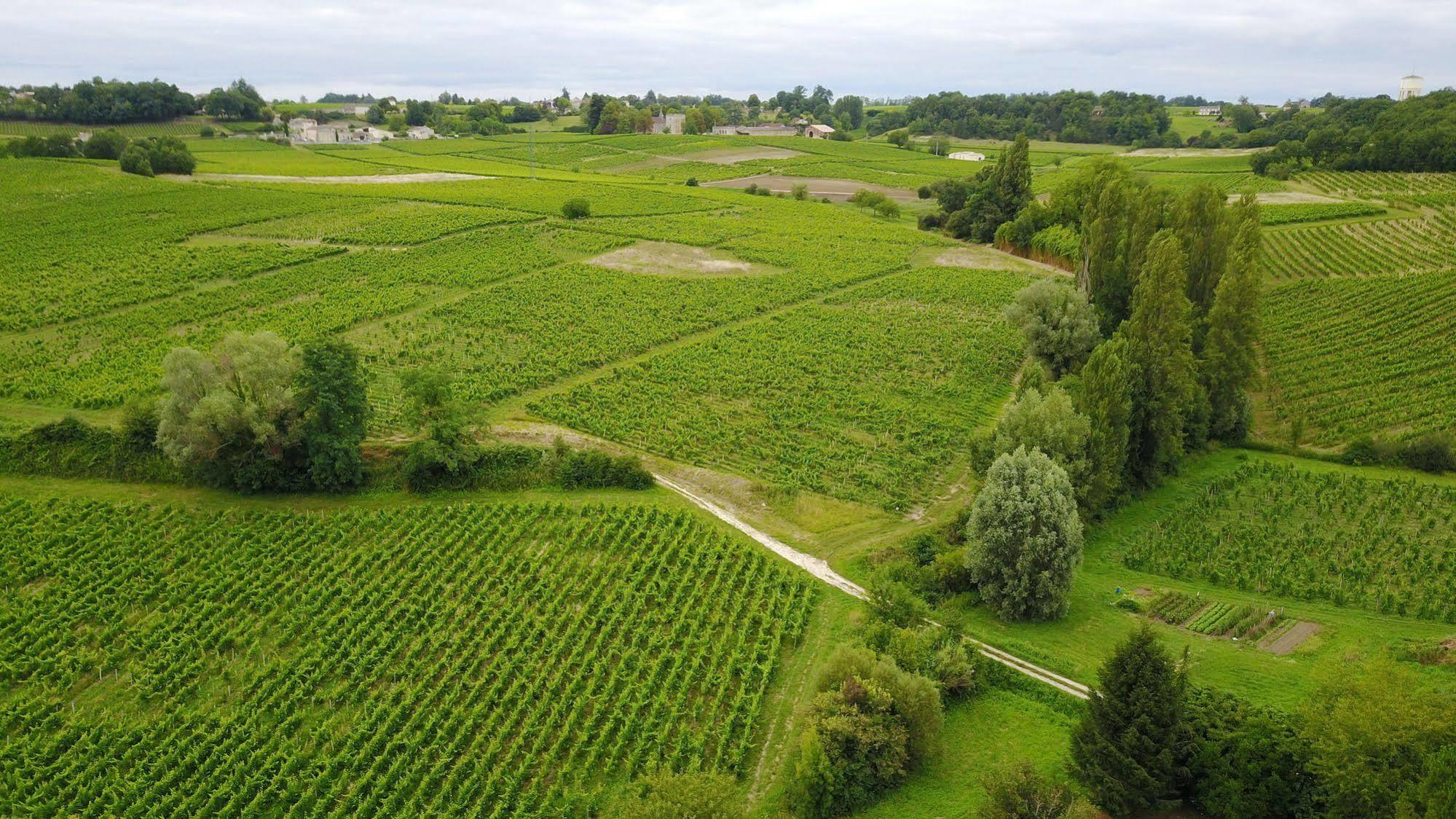 مبيت وإفطار لا كلوزيري دي فرونزاك Saint-Michel-de-Fronsac المظهر الخارجي الصورة